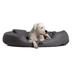 ares visco orthopädisches hundebett