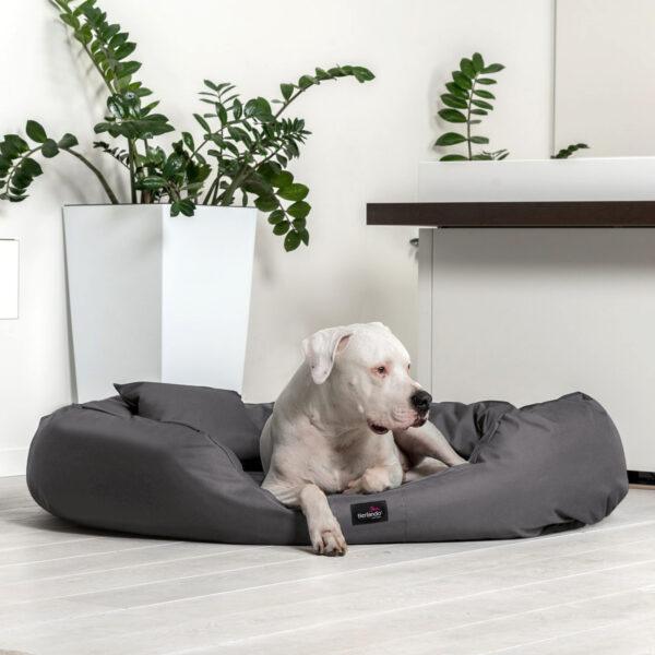 ares visco orthopädisches hundebett