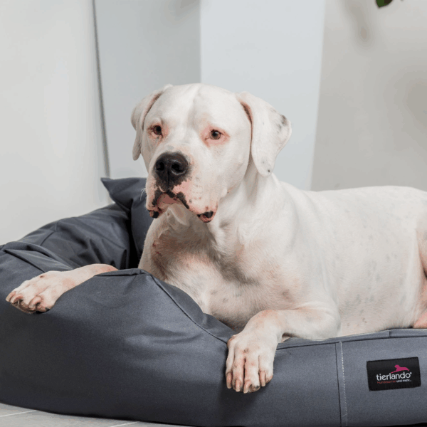ares visco orthopädisches hundebett