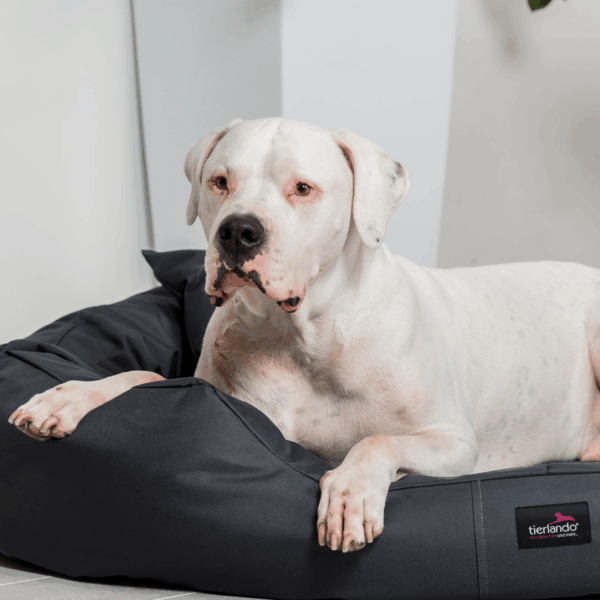 ares komfort hundebett festes polyester