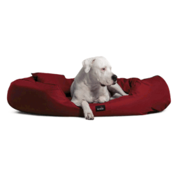 a0 04 dunkelrot ares orthopaedisches hundebett grosse hunde ares tierlando xxl oval sofa 1 1.png