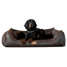 alberto orthopädisches hundebett in lederoptik