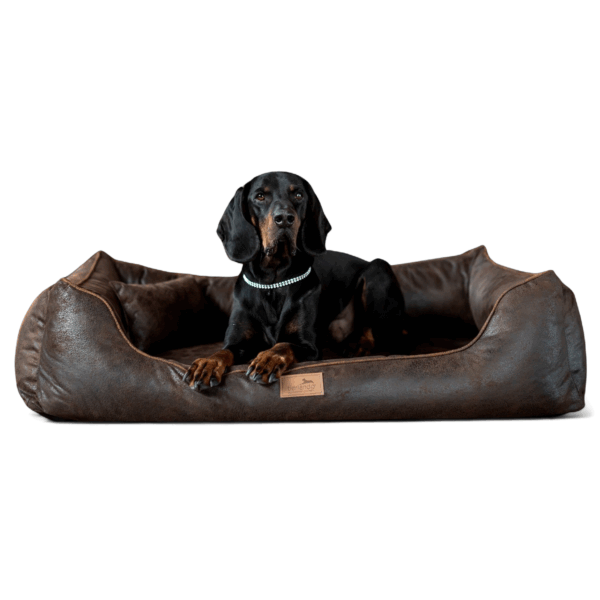 alberto orthopädisches hundebett in lederoptik