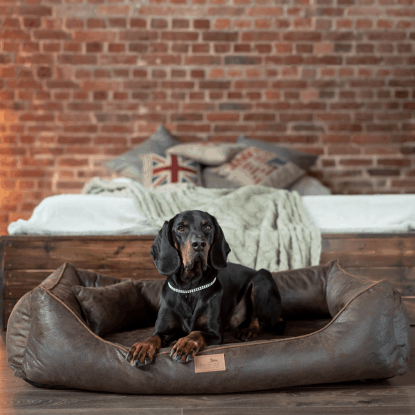 alberto orthopädisches hundebett in lederoptik