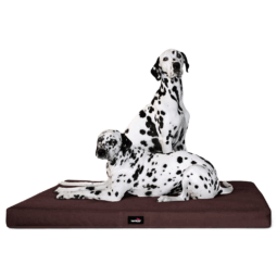 al 01 braun orthopaedische hundematratze alice visco tierlando antirutsch 1.png