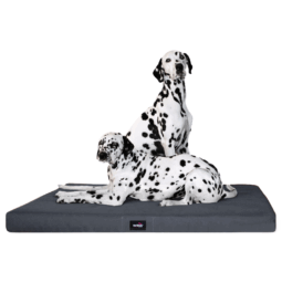 al 02 graphit orthopaedische hundematratze alice visco tierlando antirutsch 1 3.png