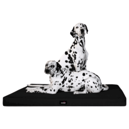 alice visco orthopädische hundematratze