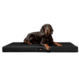 al 03 tierlando orthopaedisches hundebett hundematratze alice schwarz xxl xl kunstleder antirutsch 1.png