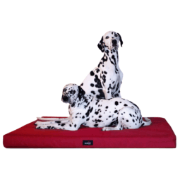 al 04 dunkelrot orthopaedische hundematratze alice visco tierlando antirutsch 1.png