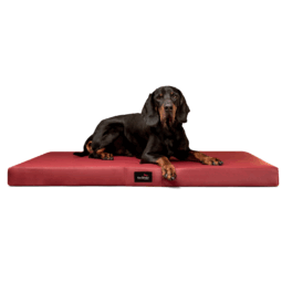 alice easy clean orthopädische hundematratze kunstleder