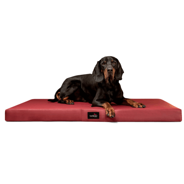 alice easy clean orthopädische hundematratze kunstleder