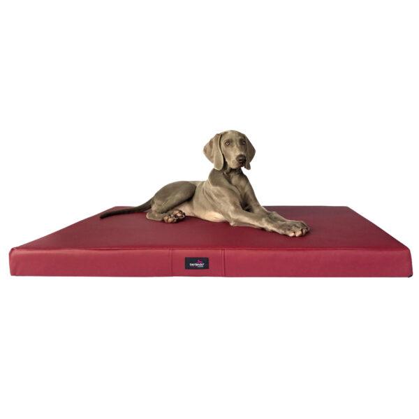 alice easy clean orthopädische hundematratze kunstleder