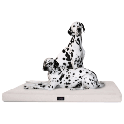 al 05 creme orthopaedische hundematratze alice visco tierlando antirutsch 1 2.png