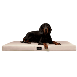 al 05 tierlando orthopaedisches hundebett hundematratze alice creme xxl xl kunstleder antirutsch 1.png