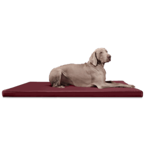 carlos orthopädische hundematratze hundematte