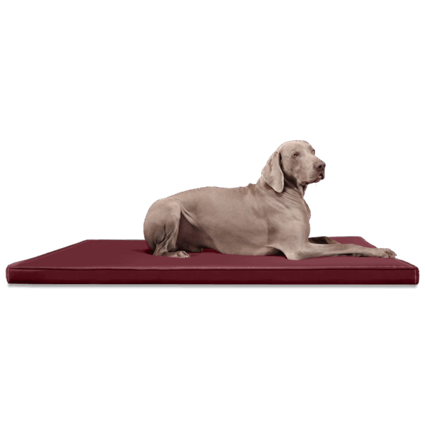carlos orthopädische hundematratze hundematte