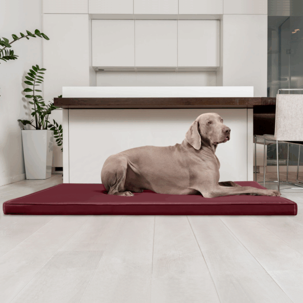 carlos orthopädische hundematratze hundematte