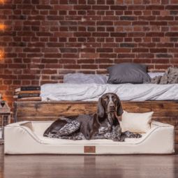 sale | melody vip orthopädisches hundebett | beige | 150x100cm