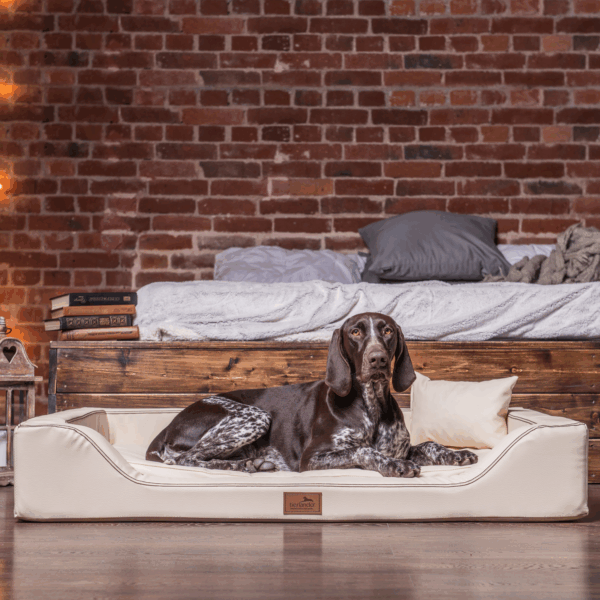 sale | melody vip orthopädisches hundebett | beige | 150x100cm