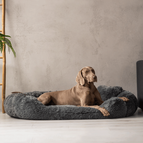 pamela shaggy orthopädisches hundebett