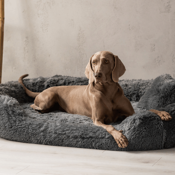 pamela shaggy orthopädisches hundebett