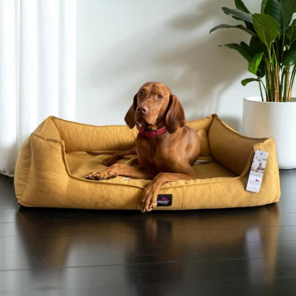 scarlett orthopädisches hundebett