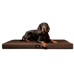 al l 01 braun alice easy clean tierlando orthopaedisches hundebett hundematratze kunstleder 1 1.png