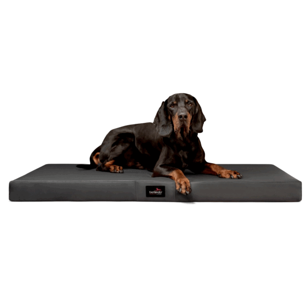alice easy clean orthopädische hundematratze kunstleder