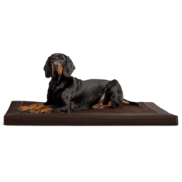 ca al 01 braun carlos orthopaedisches hundebett kunstleder velours mit hund 1 3.png