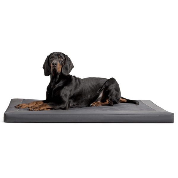carlos vip orthopädische hundematratze