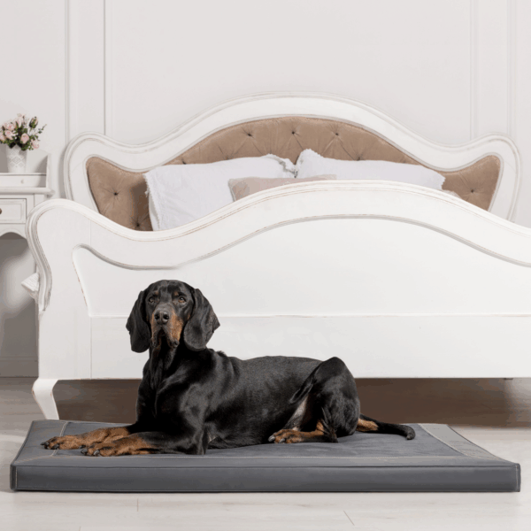 carlos vip orthopädische hundematratze