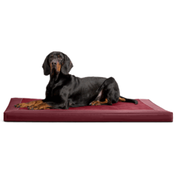 ca al 04 dunkelrot carlos orthopaedisches hundebett kunstleder velours mit hund 1.png
