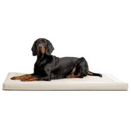 ca al 05 creme carlos orthopaedisches hundebett kunstleder velours mit hund 1.png