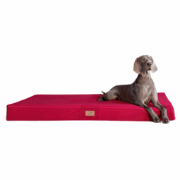 fl 04 dunkelrot orthopaedisches hundebett floki ortho plus tierlando velours weich triton 1.png