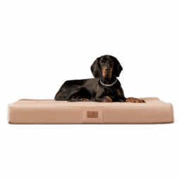fl 14 beige orthopaedisches hundebett floki ortho plus tierlando velours weich triton 1.png
