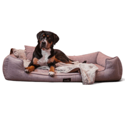 g a 07 altrosa orthopaedisches hundebett goofy couture tierlando 1.png
