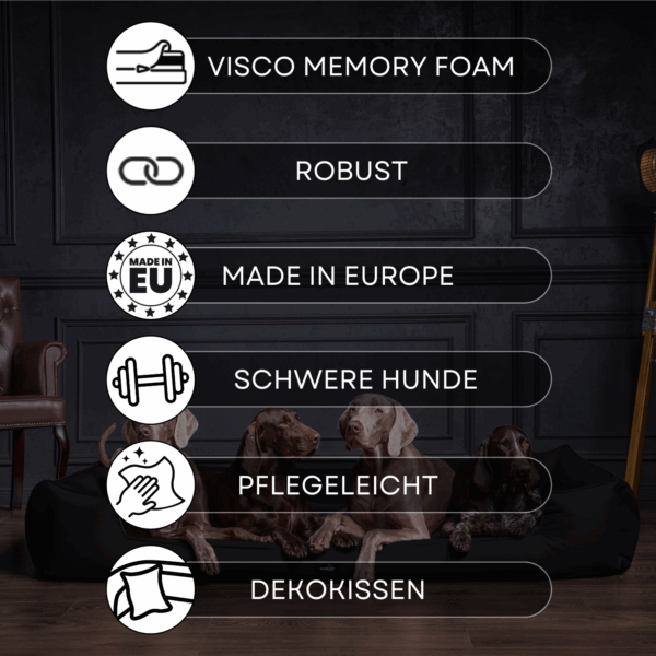 goofy orthopädisches hundebett