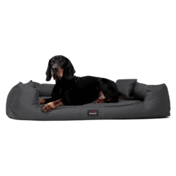 goofy orthopädisches hundebett