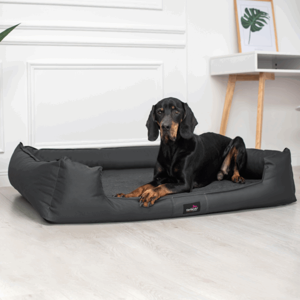 goofy orthopädisches hundebett