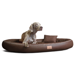 glb tl 01 braun gilbert orthopaedisches hundebett tierlando kunstleder velours 1.png