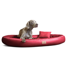 glb tl 04 dunkelrot gilbert orthopaedisches hundebett tierlando kunstleder velours 1 2.png
