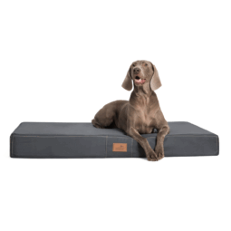 hv 02 graphit hugo ortho orthopaedisches hundebett hundematratze hugo tierlando pflegeleicht xxxl 1.png