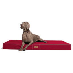 hv 04 dunkelrot hugo ortho orthopaedisches hundebett hundematratze hugo tierlando pflegeleicht xxxl 1 2.png