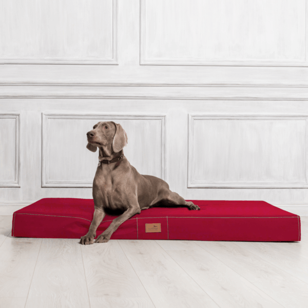 hugo orthopädische hundematratze