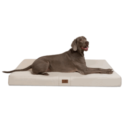 hv 05 creme hugo ortho orthopaedisches hundebett hundematratze hugo tierlando pflegeleicht xxxl 1 1.png