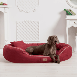 marlon soft orthopädisches hundebett