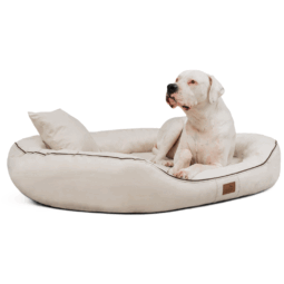mr 05 creme tierlando orthopaedisches hundebett marlon velours visco memory foam anti rutsch kuschelweich waschbar oval 1 2.png