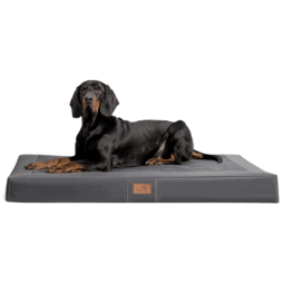 os al 02 graphit orthopaedische hundematratze oscar tierlando soft design hundematte xxl 1.png