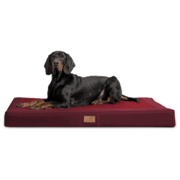 oscar vip orthopädische hundematratze
