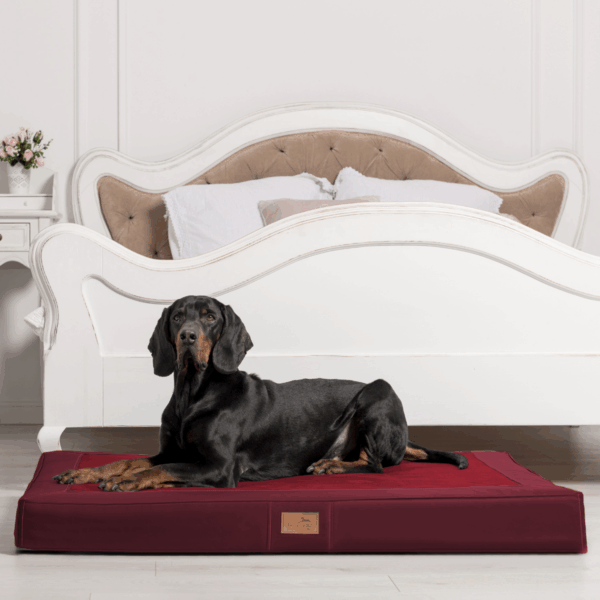 oscar vip orthopädische hundematratze